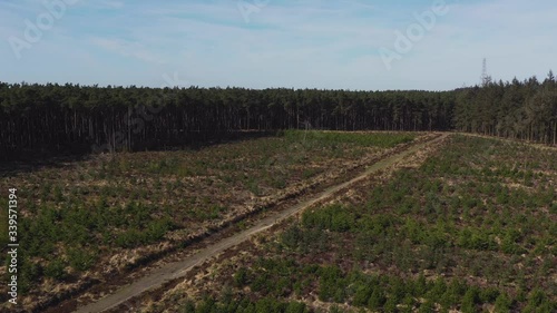 Drone footage of a person mountain biking along an empty country track heading away from a forest on a sunny morning in North Yorkshire England completely isolated photo