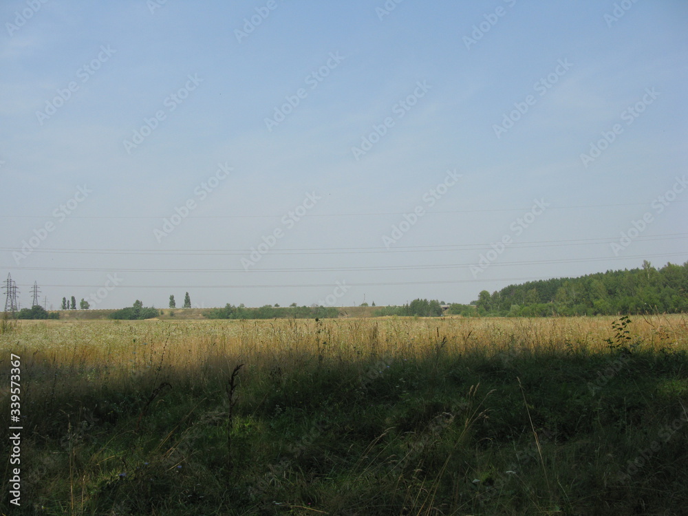 Obraz premium Horizon