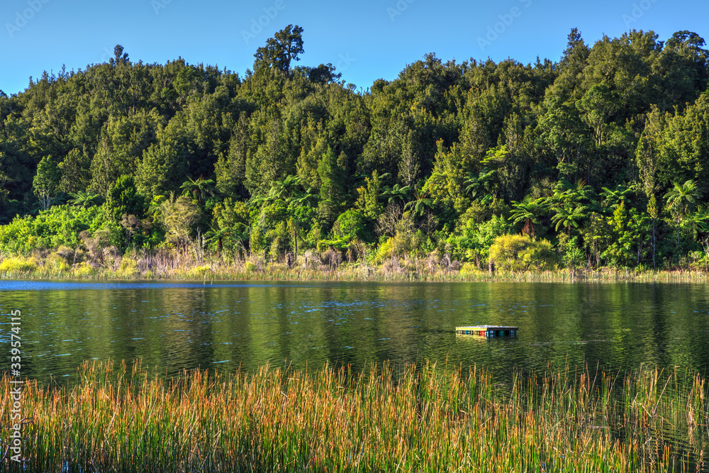 Lake Rotoma in the Rotorua area, New Zealand. A small raft floats on the lake, surrounded by water plants and native forest Lake Rotoma in the Rotorua area, New Zealand. A small raft floats on the lake, surrounded by water plants and native forest
