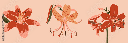 Collection Art collage lily flower in a minimal trendy style. Silhouette of lily plants. Vector illustration