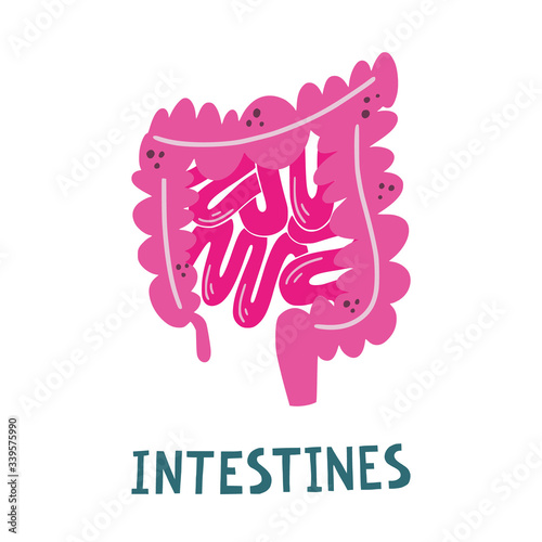 Vector isolated illustration of intestines with hand lettering. Colon, small intestine, appendix, rectum medical poster. Cute flat illustration of human internal organs.