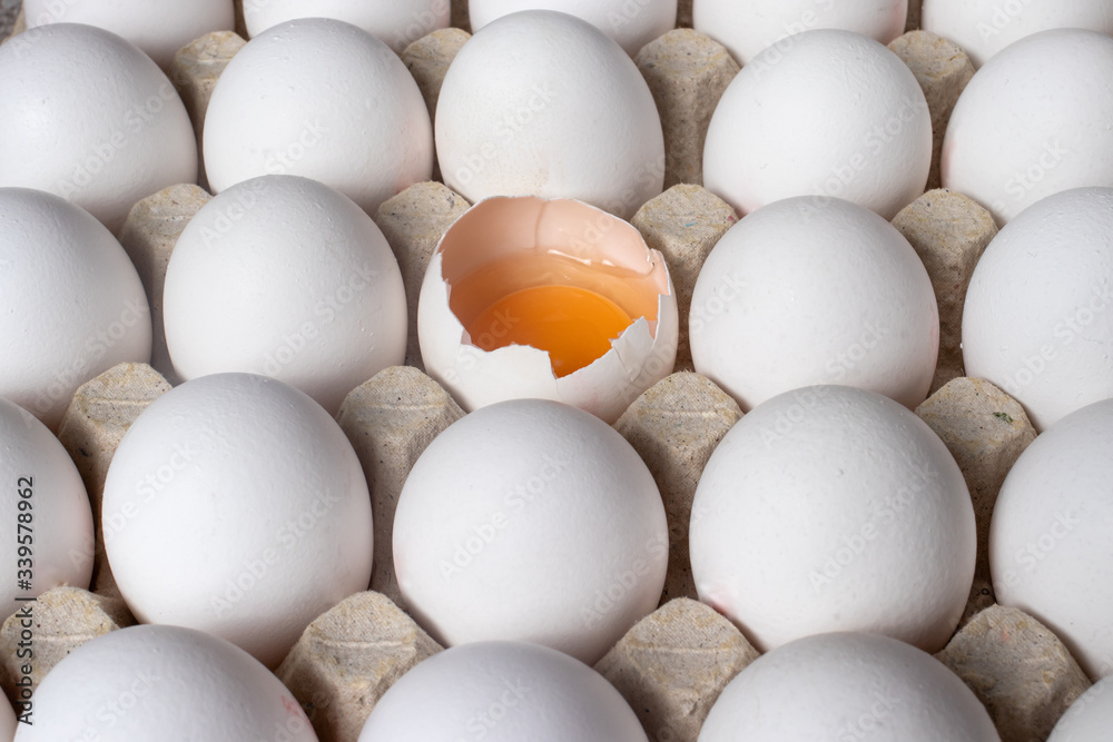 White raw chicken eggs, side view. One egg is broken, yolk and protein are visible.
White raw chicken eggs, side view. One egg is broken, yolk and protein are visible.