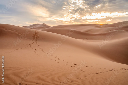 Beautiful sunset over sand dunes of Sahara Desert  Africa