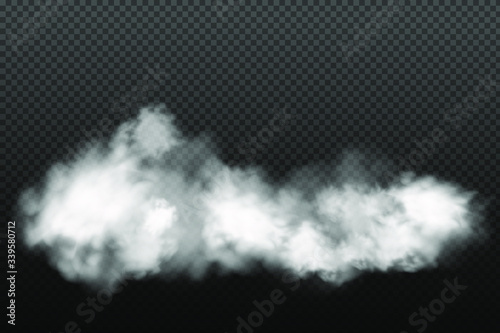 Dust cloud with particles with dirt,cigarette smoke, smog, soil and sand particles. Realistic vector isolated on transparent background. Concept house cleaning, air pollution,big explosion.