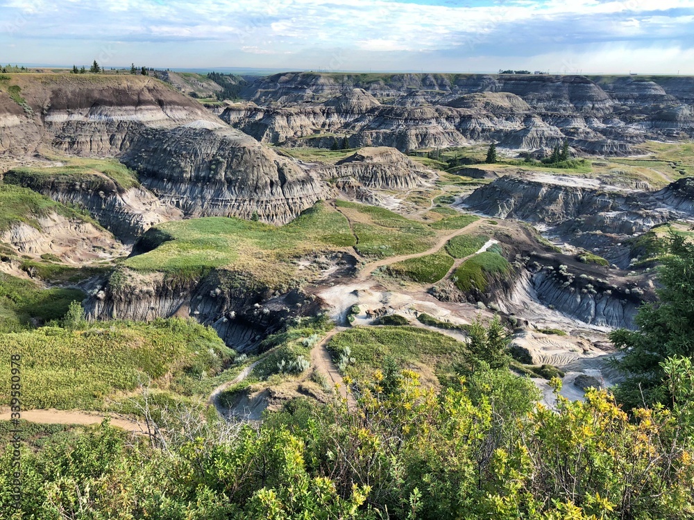 Fototapeta premium Horseshoe Canyon Canadian Badlands 
