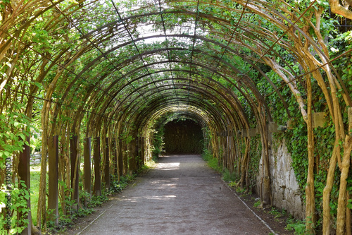 green tunnel, scenic area in the park