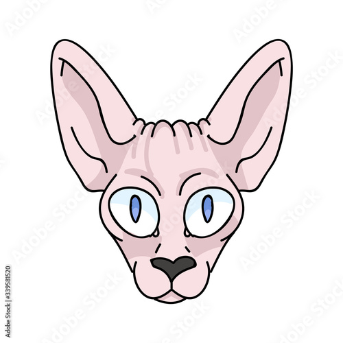 Cute cartoon sphynx kitten face vector clipart. Pedigree exotic kitty breed for cat lovers. Purebred domestic cat for pet parlor illustration mascot. Isolated hairless feline housecat. EPS 10. 