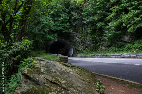 tunnel in Forrest smokey mountains