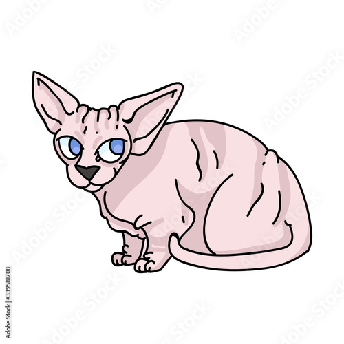 Cute cartoon sphynx kitten vector clipart. Pedigree exotic kitty breed for cat lovers. Purebred domestic cat for pet parlor illustration mascot. Isolated hairless feline housecat. EPS 10. 