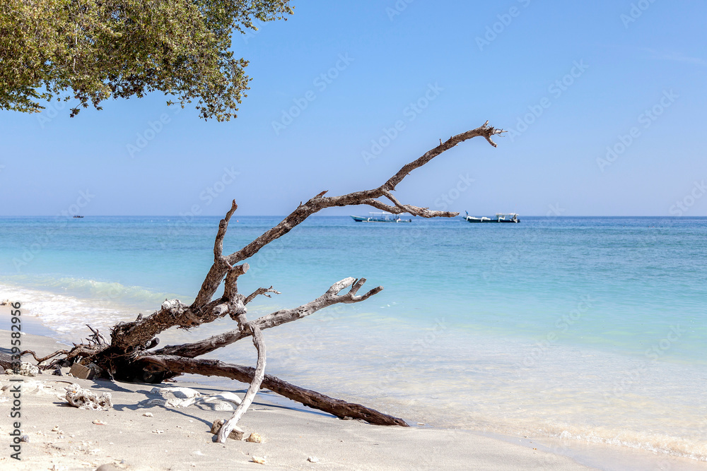 The beautiful ocean coast of Gili Trawangan island, Bali, Indonesia. The beautiful ocean coast of Gili Trawangan island, Bali, Indonesia.