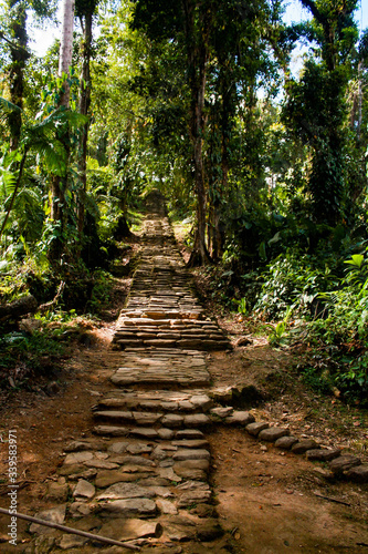 Long stairway to reach the lost city  indigenous name Teyuna   Sierra Nevada de Santa Marta  Magdalena  Colombia.