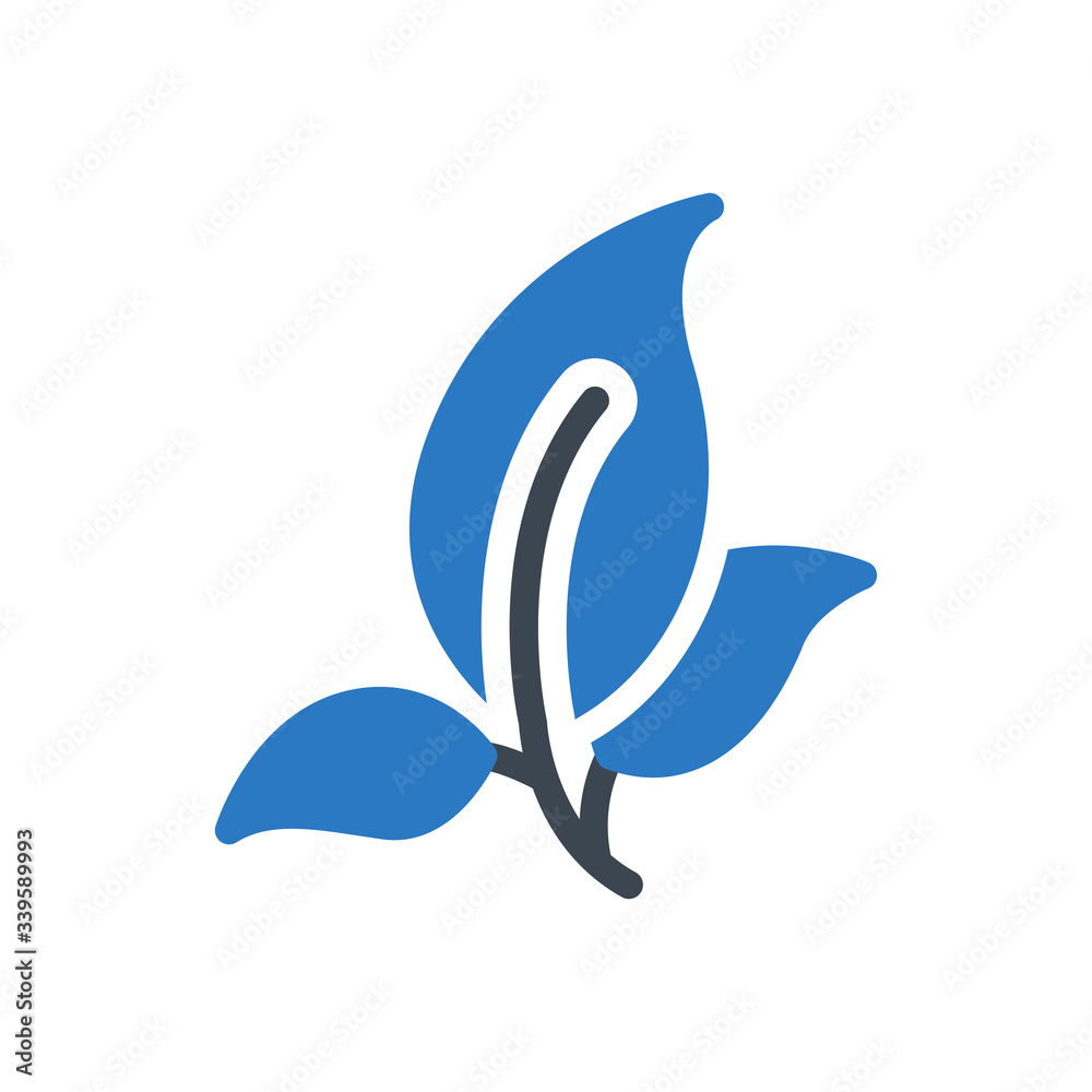 Obraz premium leaves