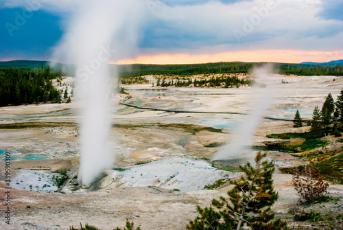 Steaming hot springs during sunset over Yellowstone National Park's Norris Geyser Basin