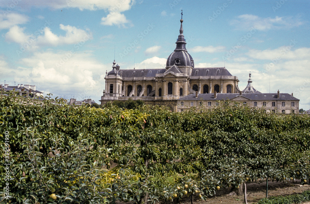 Jardin du Roi, Chateau de Versailles, Versailles, Yvelines, 78