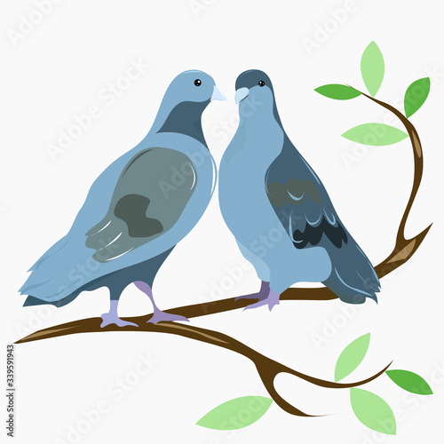 Two lovebirds on a branch with leaves in spring