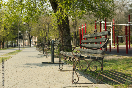 Bench in the city park. Spring day