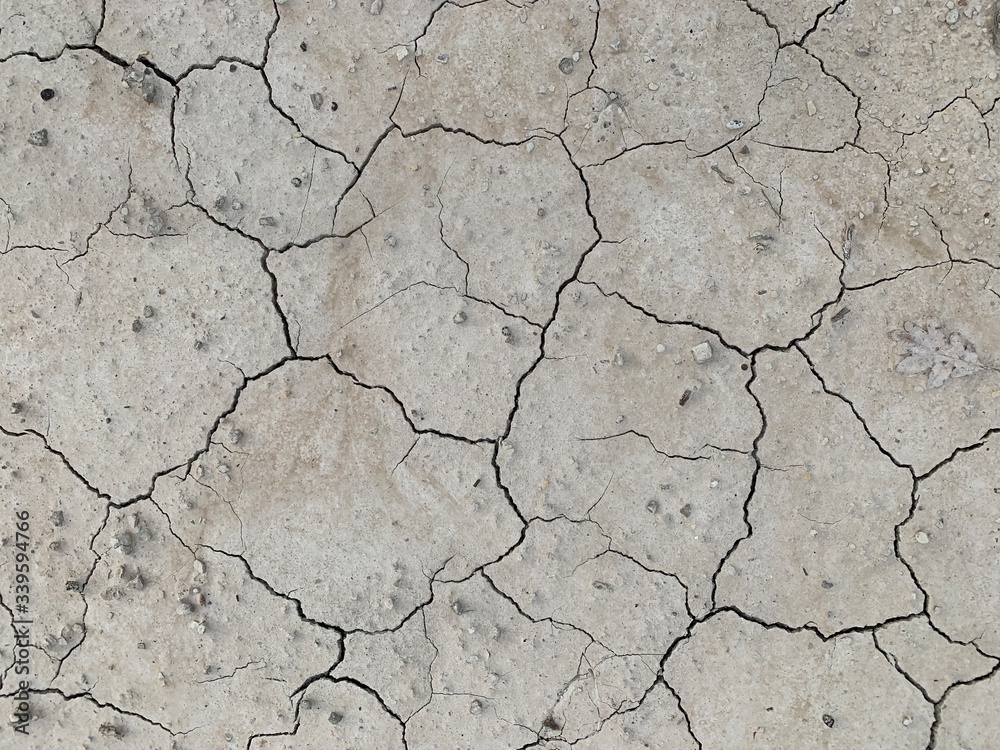 Obraz premium dry cracked earth