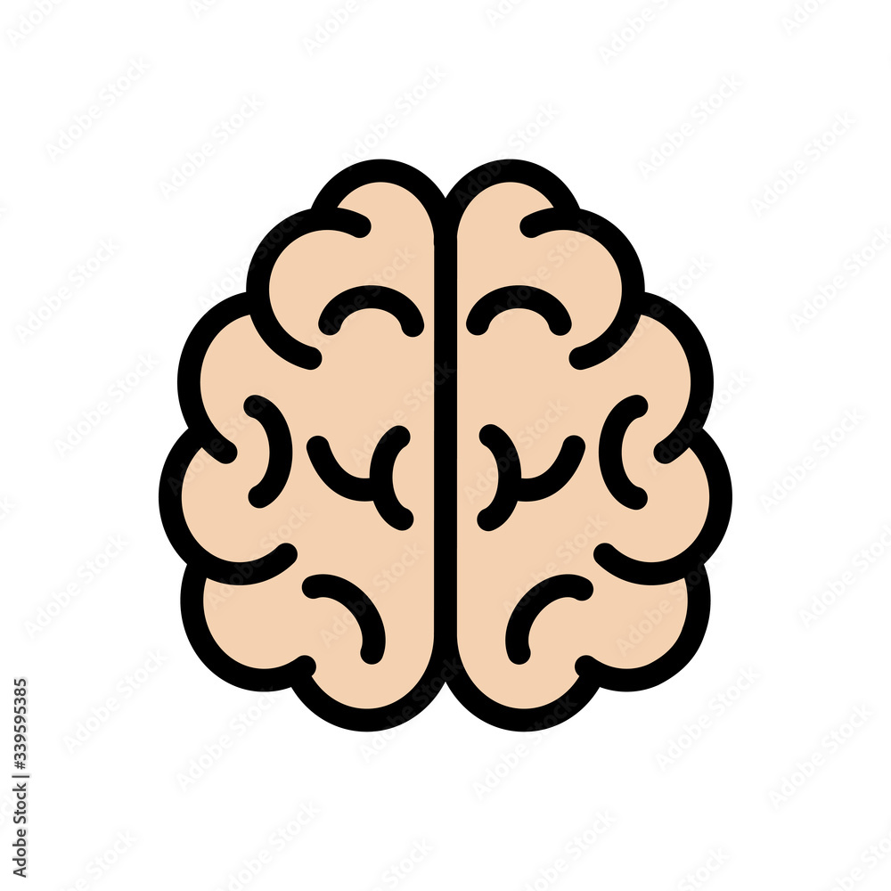 brain brain