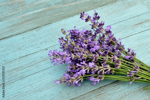 Bouquet of lavender on an old blue wooden background in the style of Provence close up
