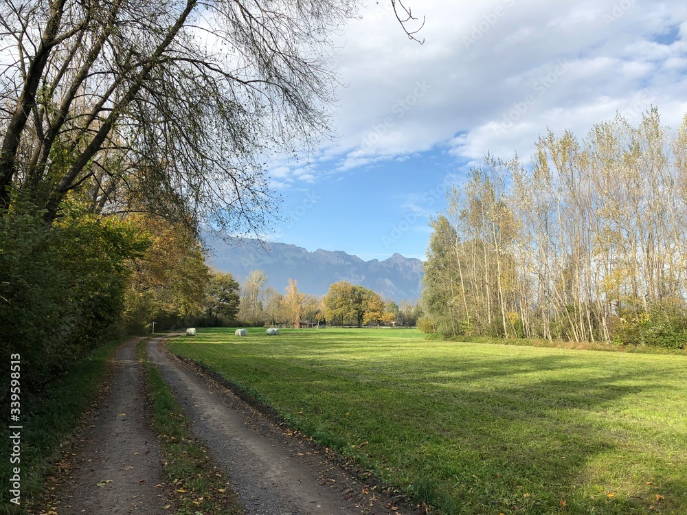 Obraz premium radweg im grünen