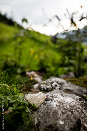 stone in heart shape with fields and flowers in the background