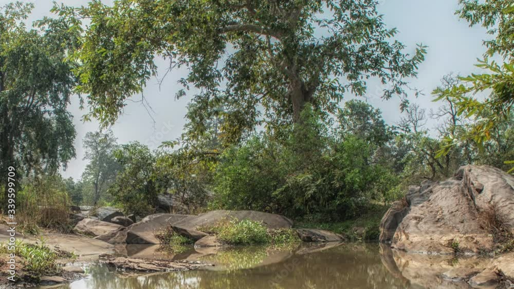 Landscape with a river and forest trees, Kanha National Park, India Landscape with a river and forest trees, Kanha National Park, India