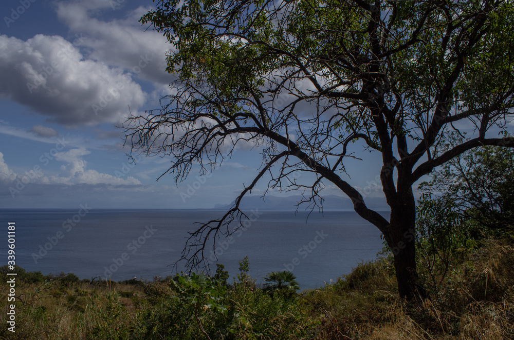 Obraz premium panoramic view of one of the bays of the Zingaro Reserve, Trapani sicily Italy