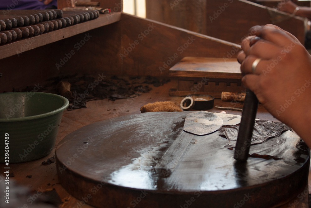 Fototapeta premium Agile hands rolling the addictive cigar for humanity