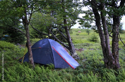 Campsite in the wilderness with a sleeping tent