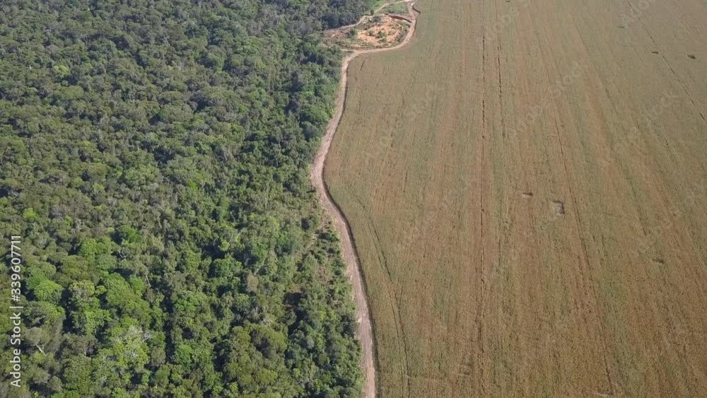 Drone aerial view of soy agriculture farm and Xingu Indigenous Park rainforest in the Amazon, Brazil. Concept of ecology, carbon footprint, environment, global warming, co2 and climate change. 4K