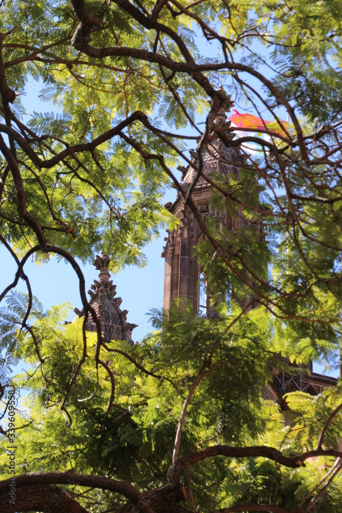 Fototapeta premium University of Sydney