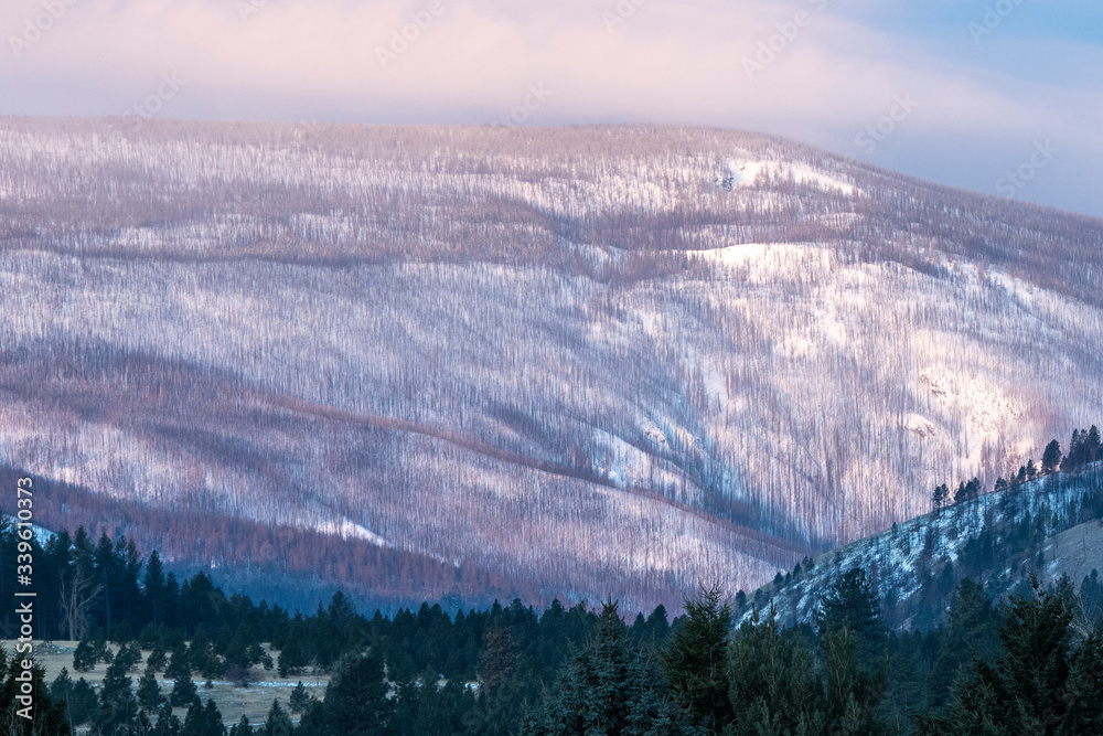 Fototapeta premium Morning sun hitting the mountain