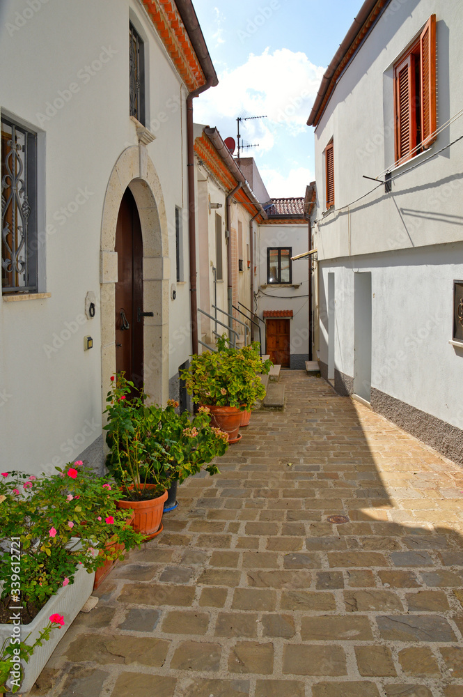 Fototapeta premium A narrow street among the picturesque houses of a mountain village