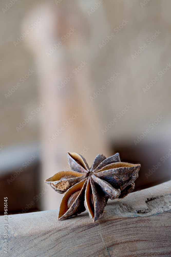 Obraz na plátně A staranise fruit at the edge of a mortar