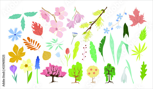 set of leaves flowers and trees