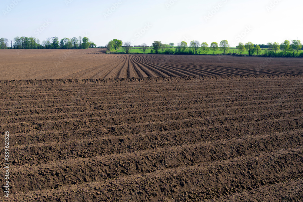 Ploughed field in the morning, in Cusworth, Doncaster, South Yorkshire, England.
