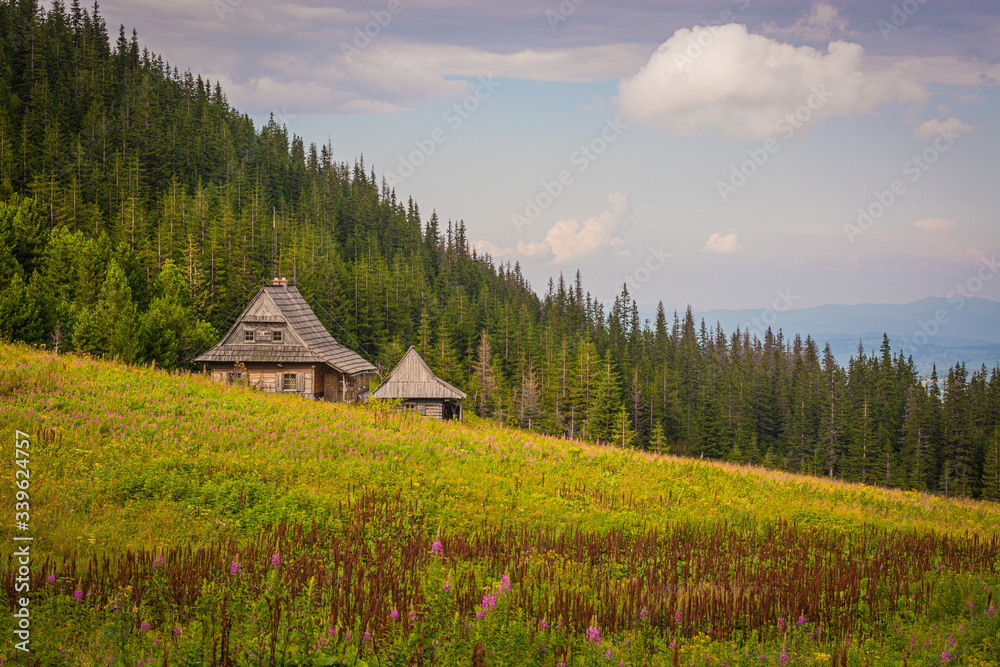 Mountain wooden rural cottage on a meadow in the mountains, a meadow with flowers, in the background a green forest and mountains, blue sky, Poland, Tatra Mountains