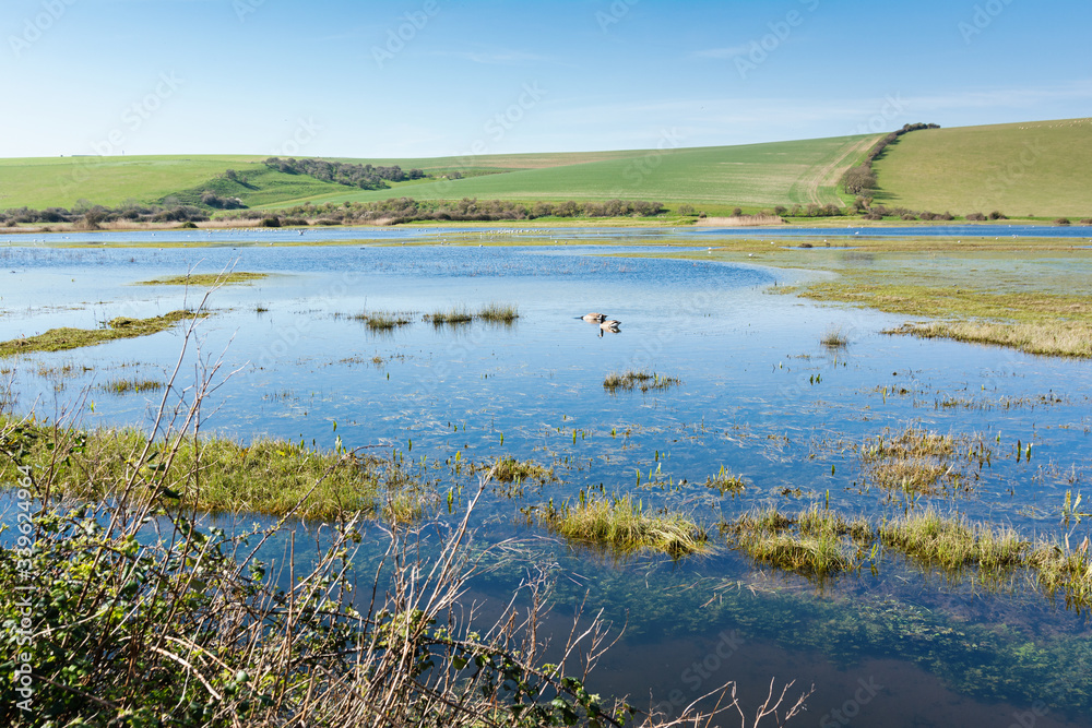View of Cuckmere river, South Downs National Park, near Seaford and Eastbourne, Sussex View of Cuckmere river, South Downs National Park, near Seaford and Eastbourne, Sussex