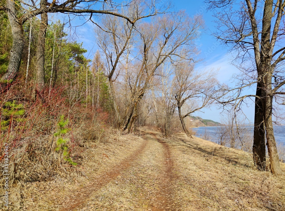 spring landscape with a road leading near the river between the trees in the sun spring landscape with a road leading near the river between the trees in the sun