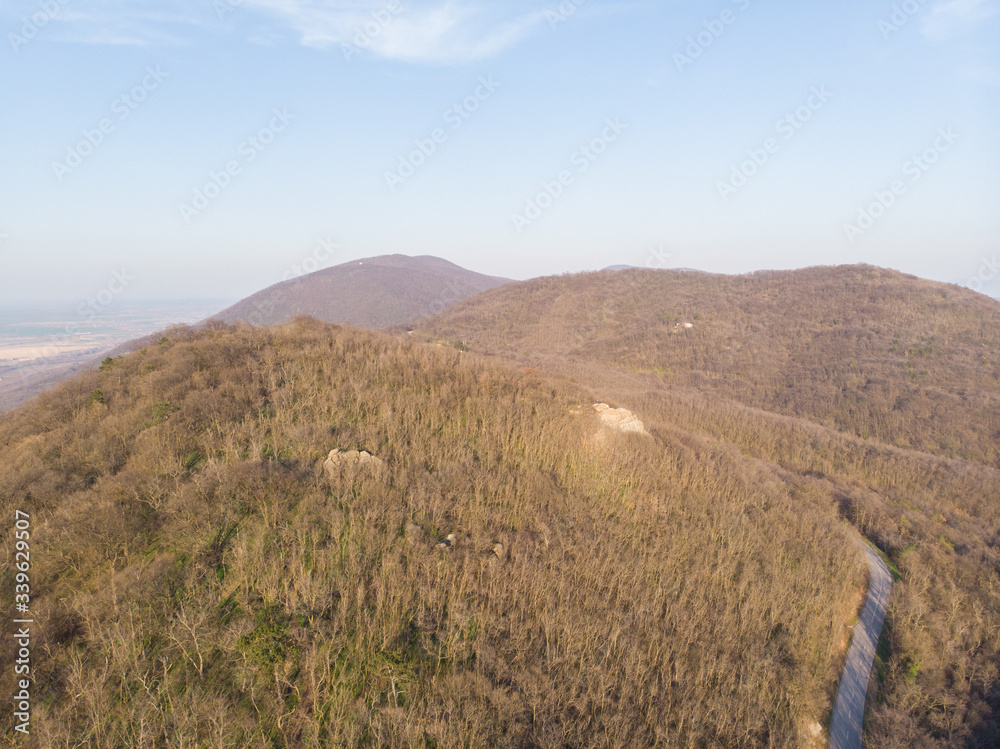 forest, nature, landscape, background, travel, hill, mountain, natural, sky, tree, scene, environment, view, outdoor, scenery, beautiful, season, green, scenic, peak, wood, summer, park, vector, wild,