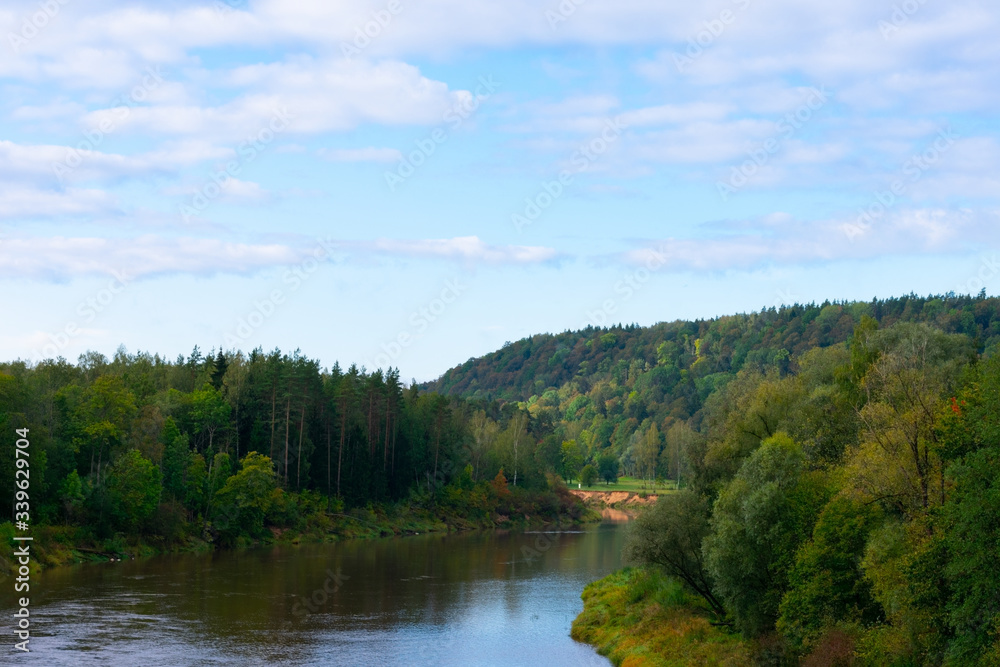Picturesque landscape of deep river and european mixed forest. A lot of trees on shores