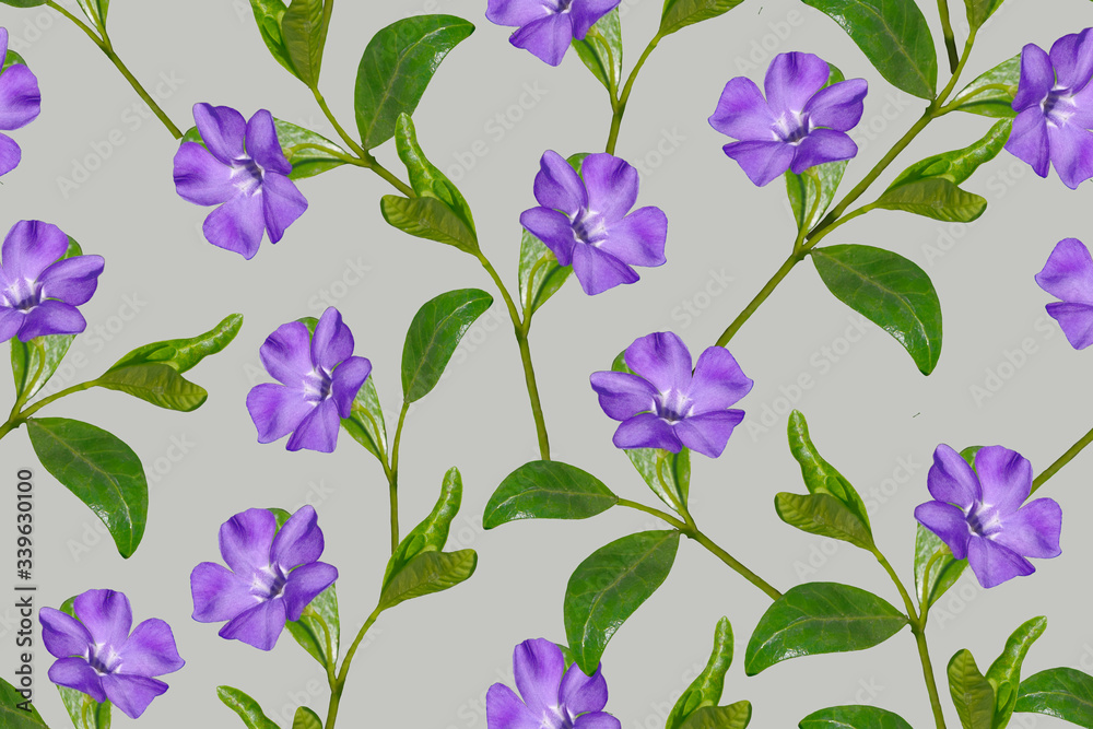 Seamless floral pattern with blue flowers on a gray background. Seamless floral pattern with blue flowers on a gray background.