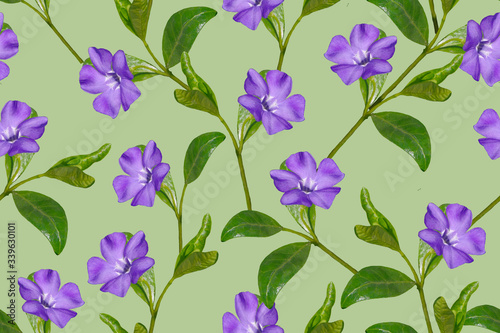 Seamless floral pattern with blue flowers on a green background.