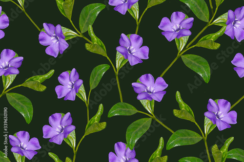 Seamless pattern with blue flowers on a dark background.