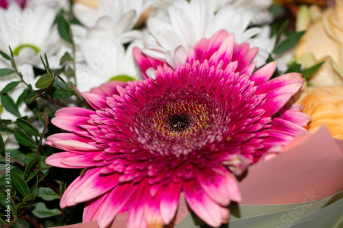 Big pink gerbera as main flower in bouqet  group of colorful flowers with bright petals and dark core