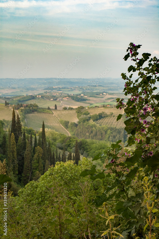 Hills, Tuscany