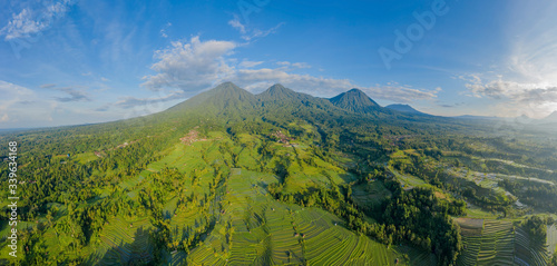Jatiluwih rice terraces at the morning light  Bali  Indonesia. Beautiful aerial panoramic view by drone to the mountains and green hills and fields with terraces.