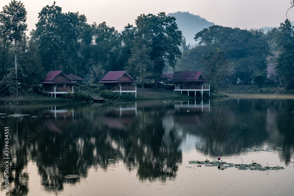 Fototapeta premium Mirror surface of a tropical lake