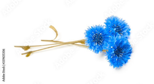 Принти на полотні Blue three cornflower on white horizontal background.