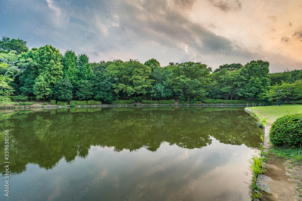 Reflections on pond at Kitanomaru Park, Tokyo, Japan